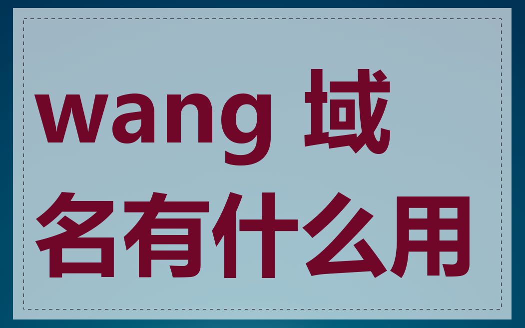 wang 域名有什么用