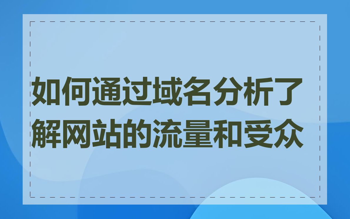 如何通过域名分析了解网站的流量和受众