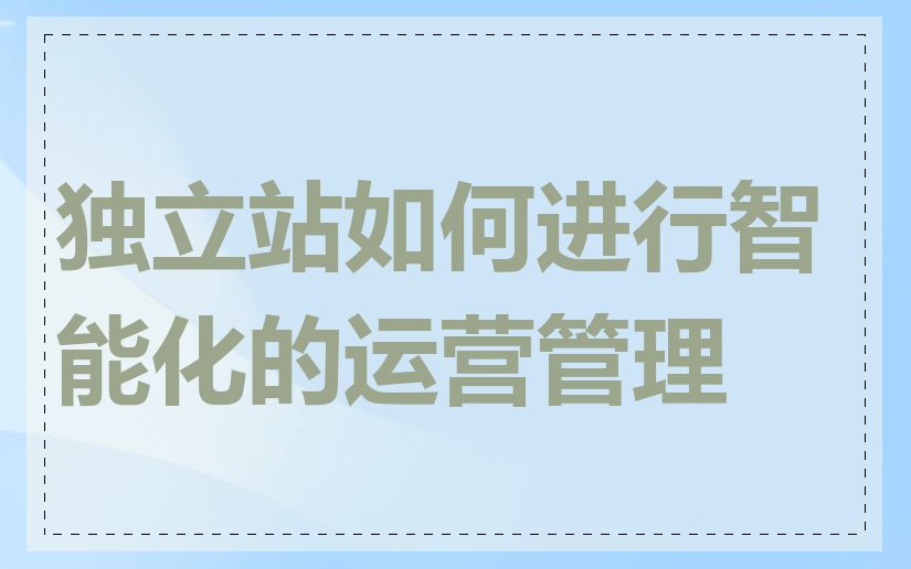 独立站如何进行智能化的运营管理