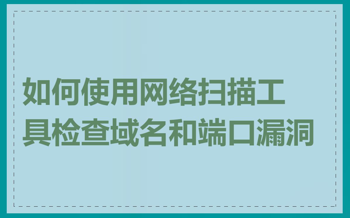 如何使用网络扫描工具检查域名和端口漏洞