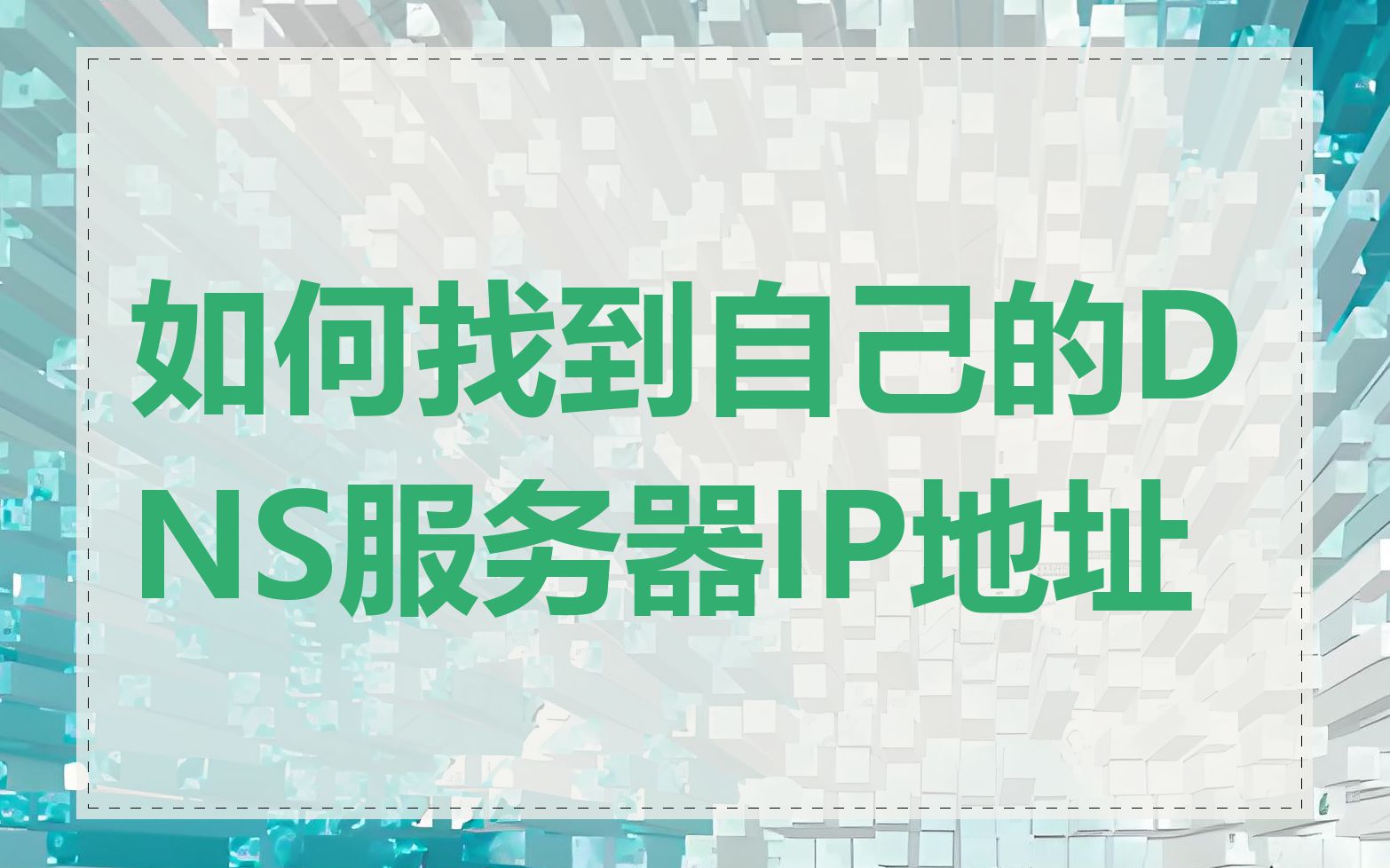 如何找到自己的DNS服务器IP地址
