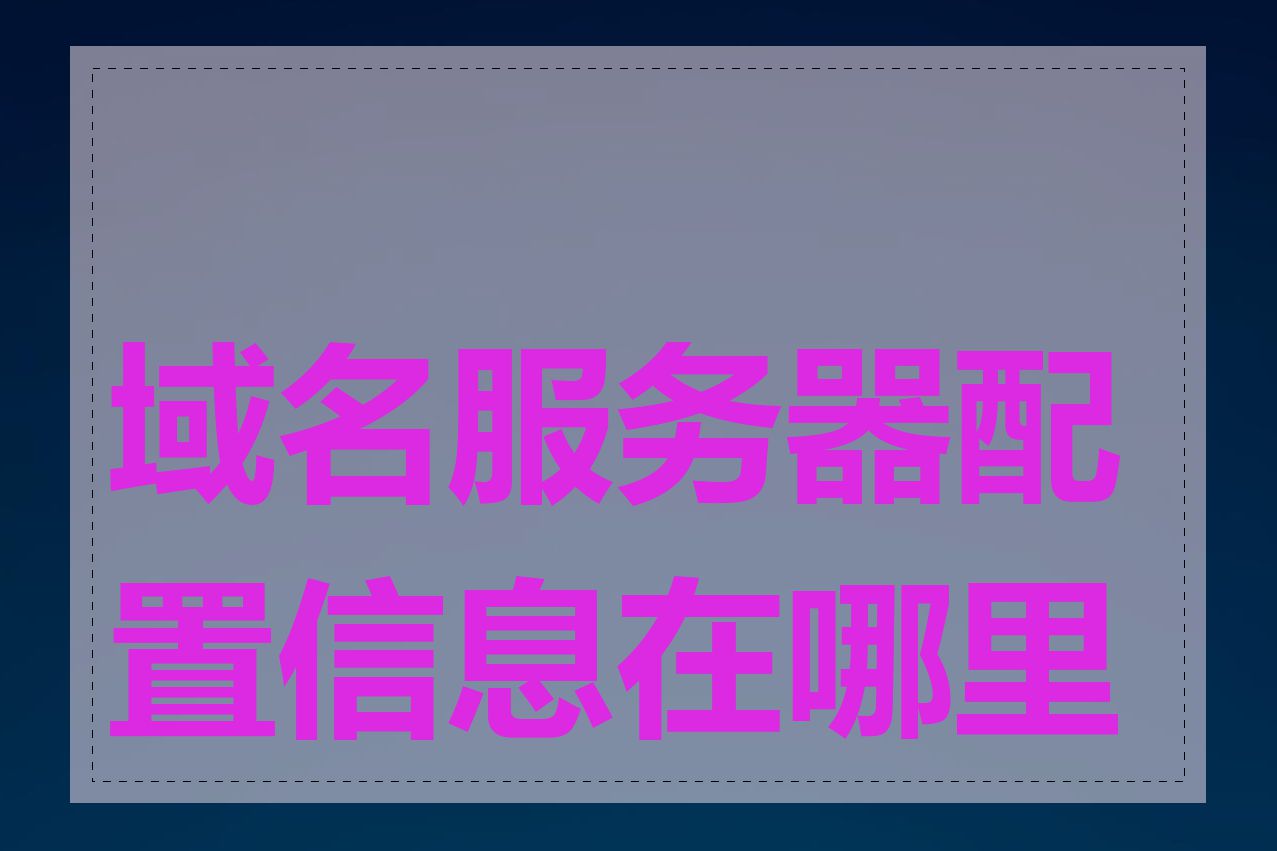 域名服务器配置信息在哪里看