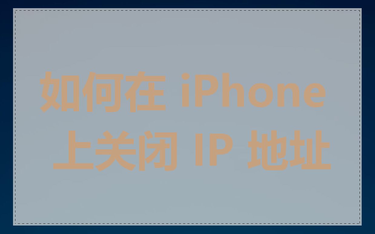 如何在 iPhone 上关闭 IP 地址