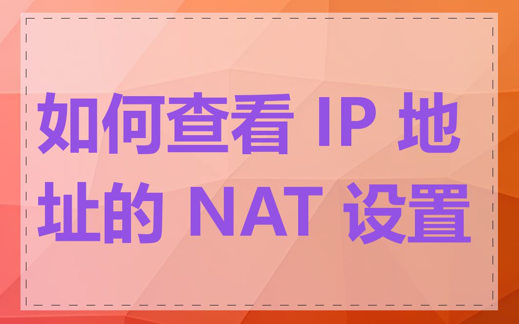 如何查看 IP 地址的 NAT 设置