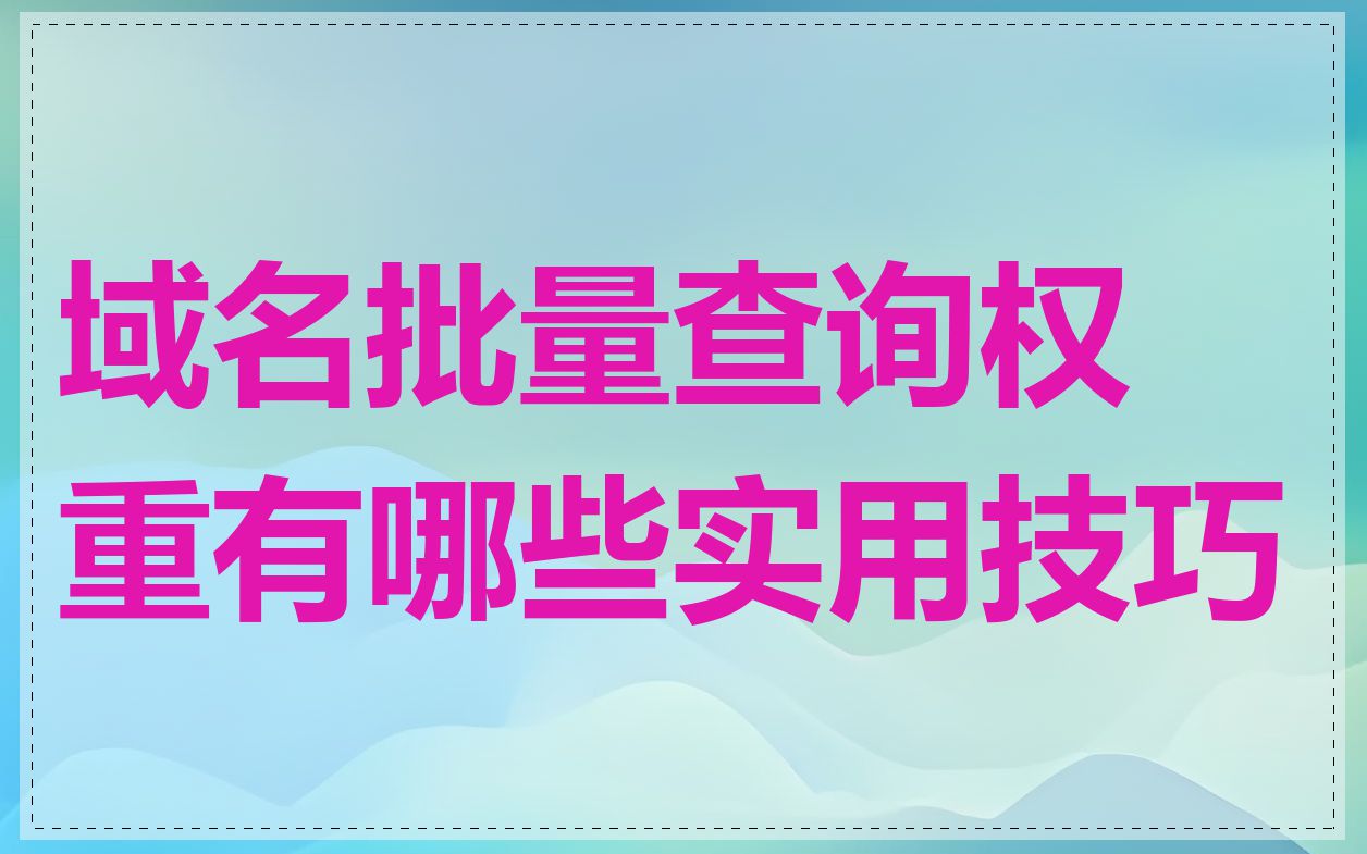 域名批量查询权重有哪些实用技巧