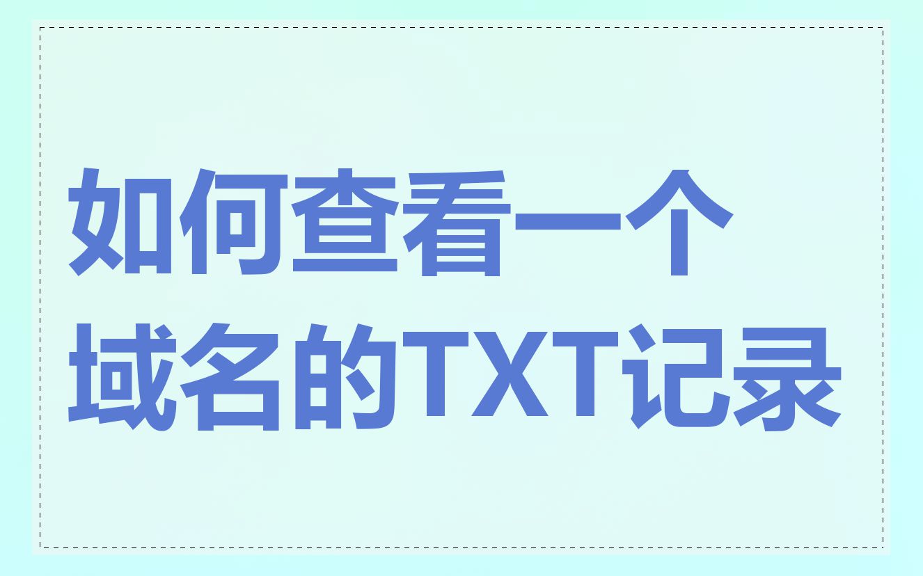 如何查看一个域名的TXT记录