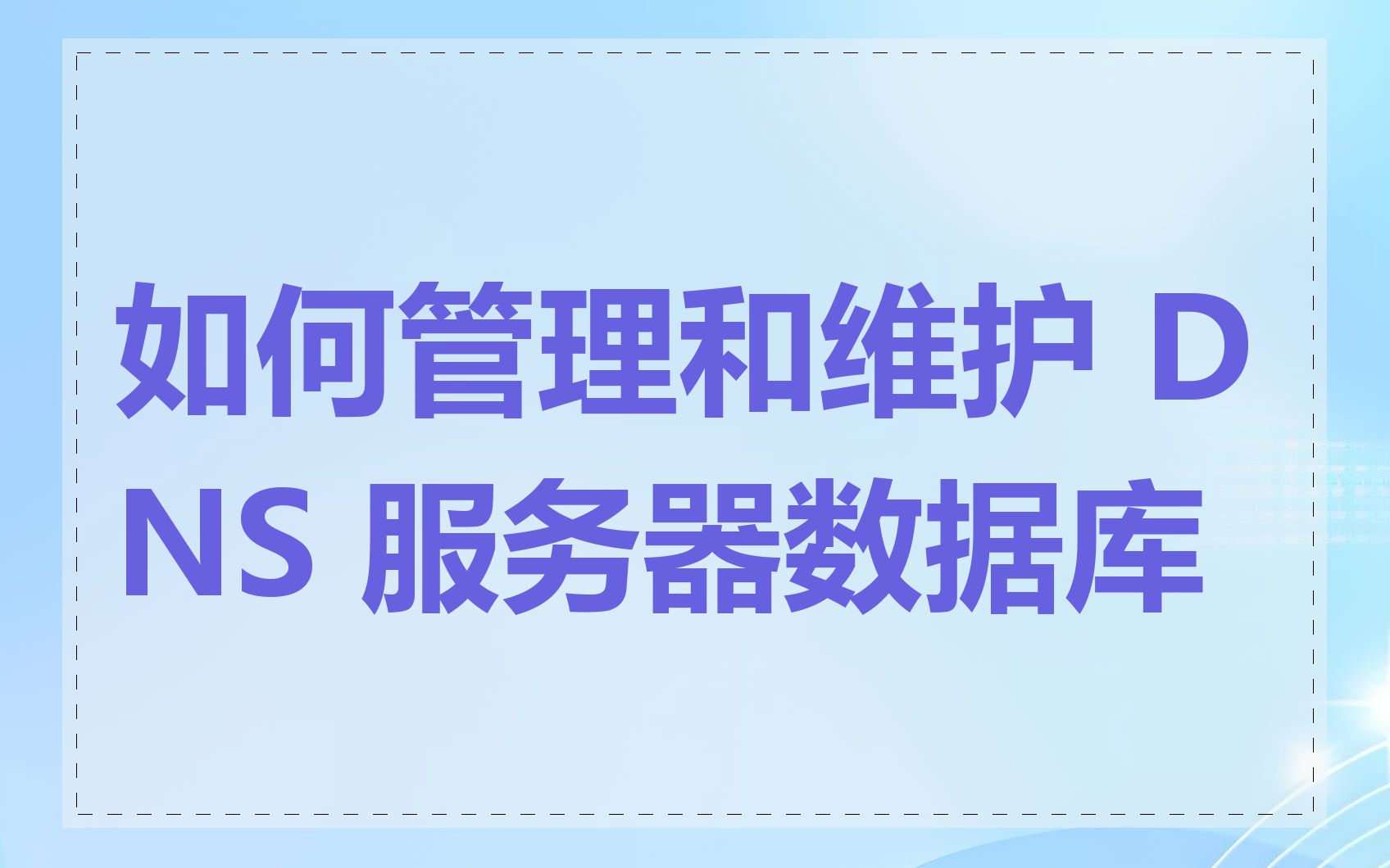 如何管理和维护 DNS 服务器数据库