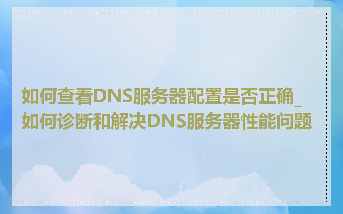 如何查看DNS服务器配置是否正确_如何诊断和解决DNS服务器性能问题
