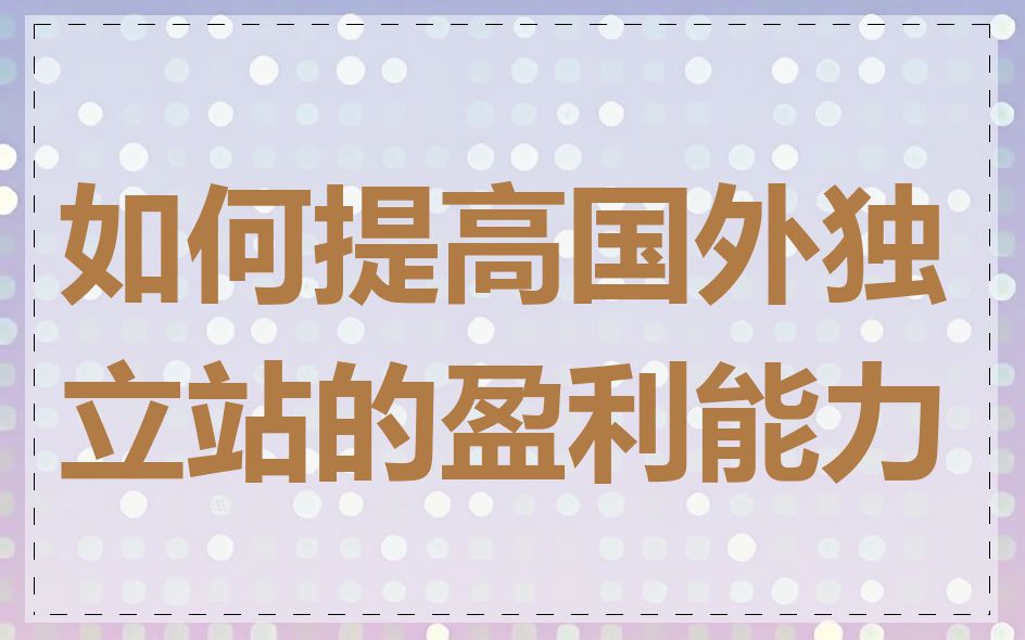 如何提高国外独立站的盈利能力