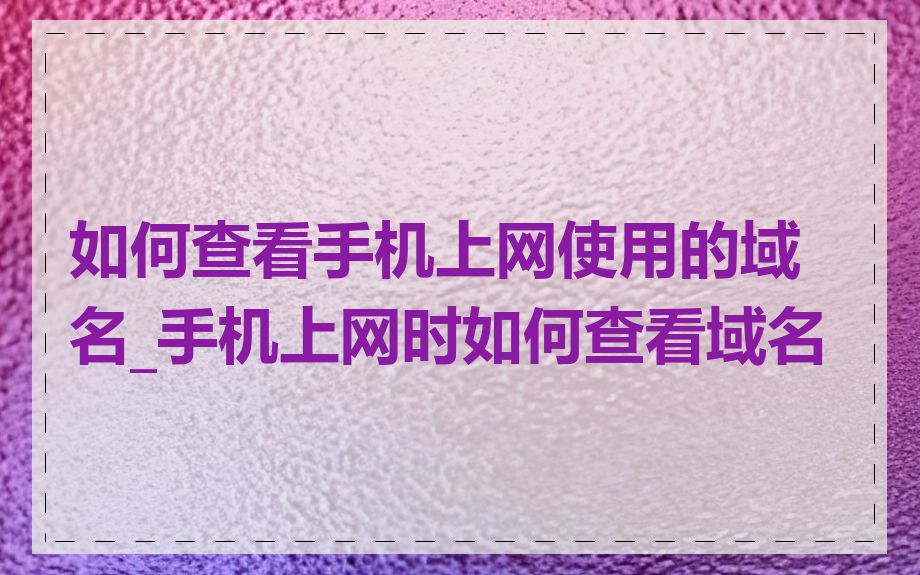 如何查看手机上网使用的域名_手机上网时如何查看域名