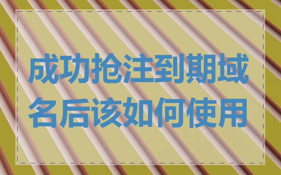 成功抢注到期域名后该如何使用
