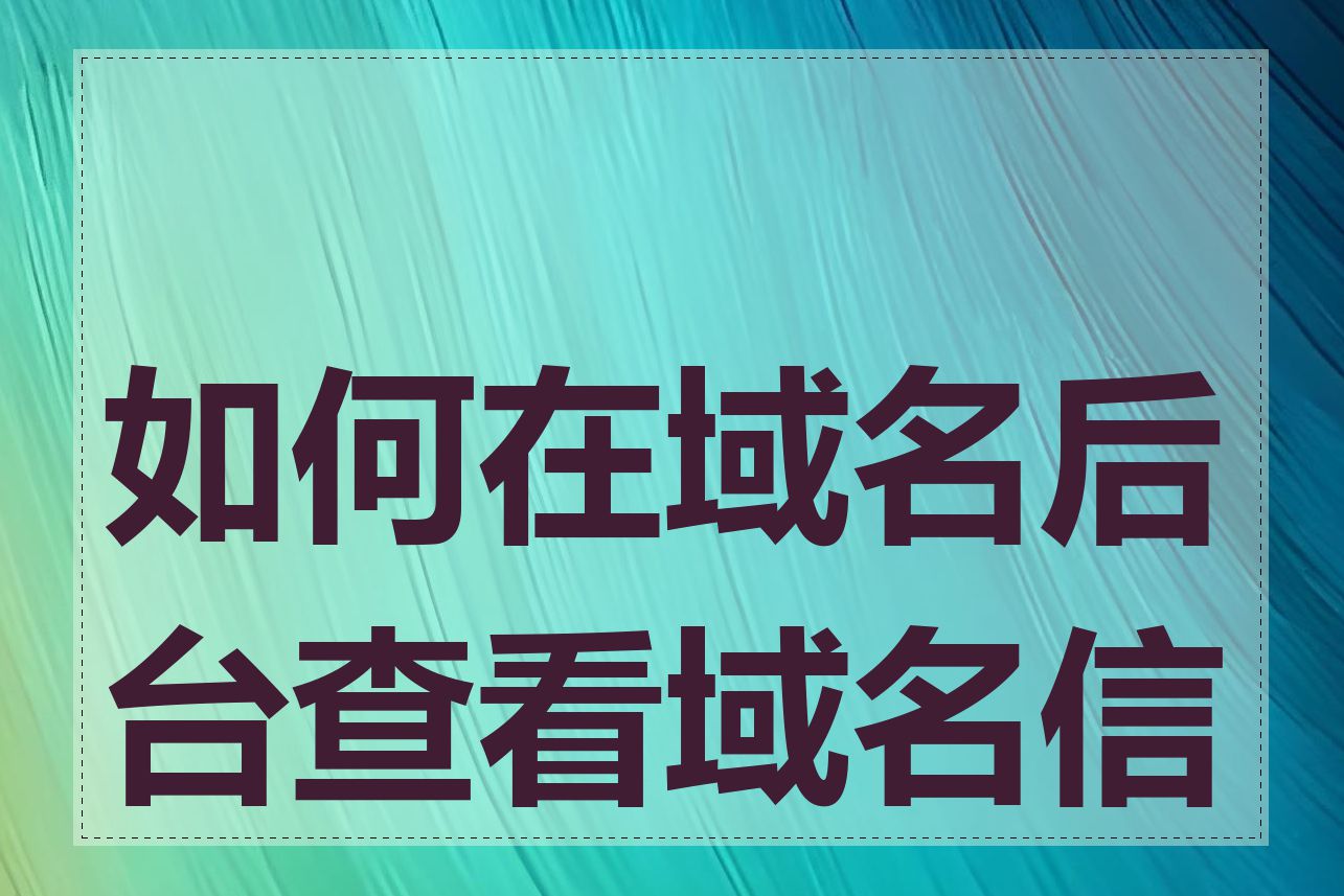 如何在域名后台查看域名信息
