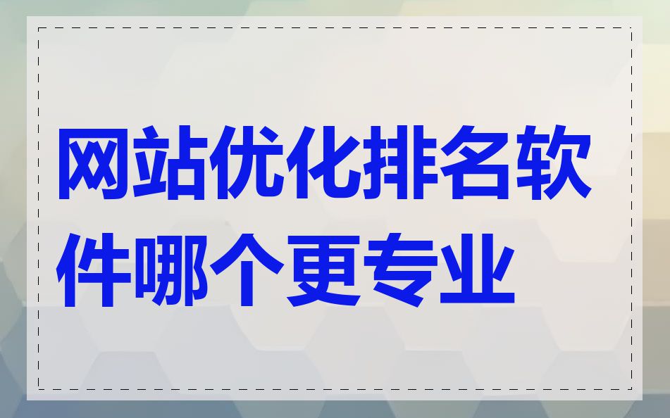网站优化排名软件哪个更专业