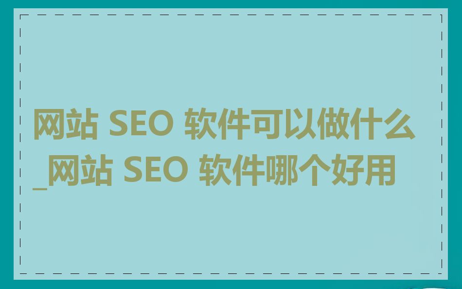 网站 SEO 软件可以做什么_网站 SEO 软件哪个好用