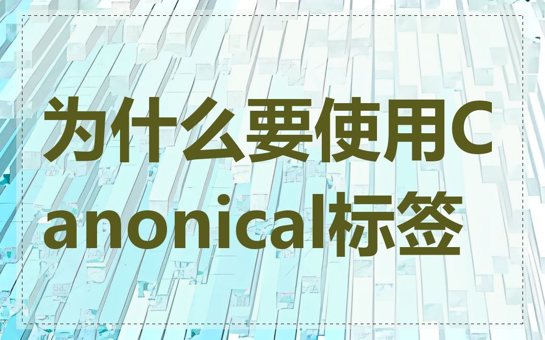 为什么要使用Canonical标签