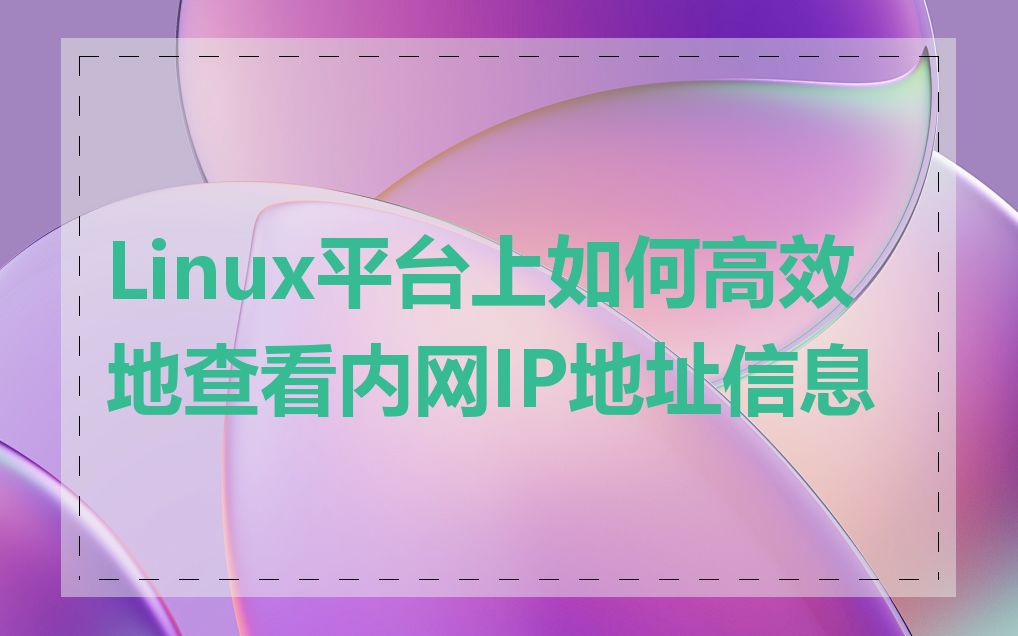 Linux平台上如何高效地查看内网IP地址信息