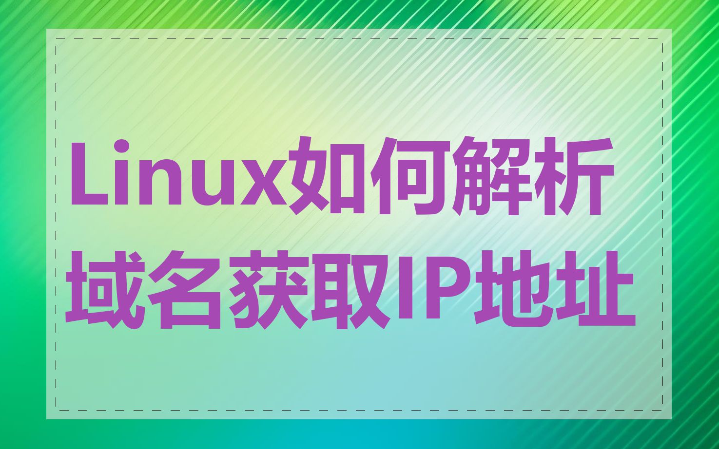 Linux如何解析域名获取IP地址
