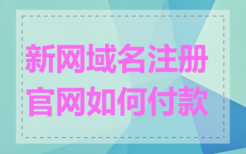 新网域名注册官网如何付款