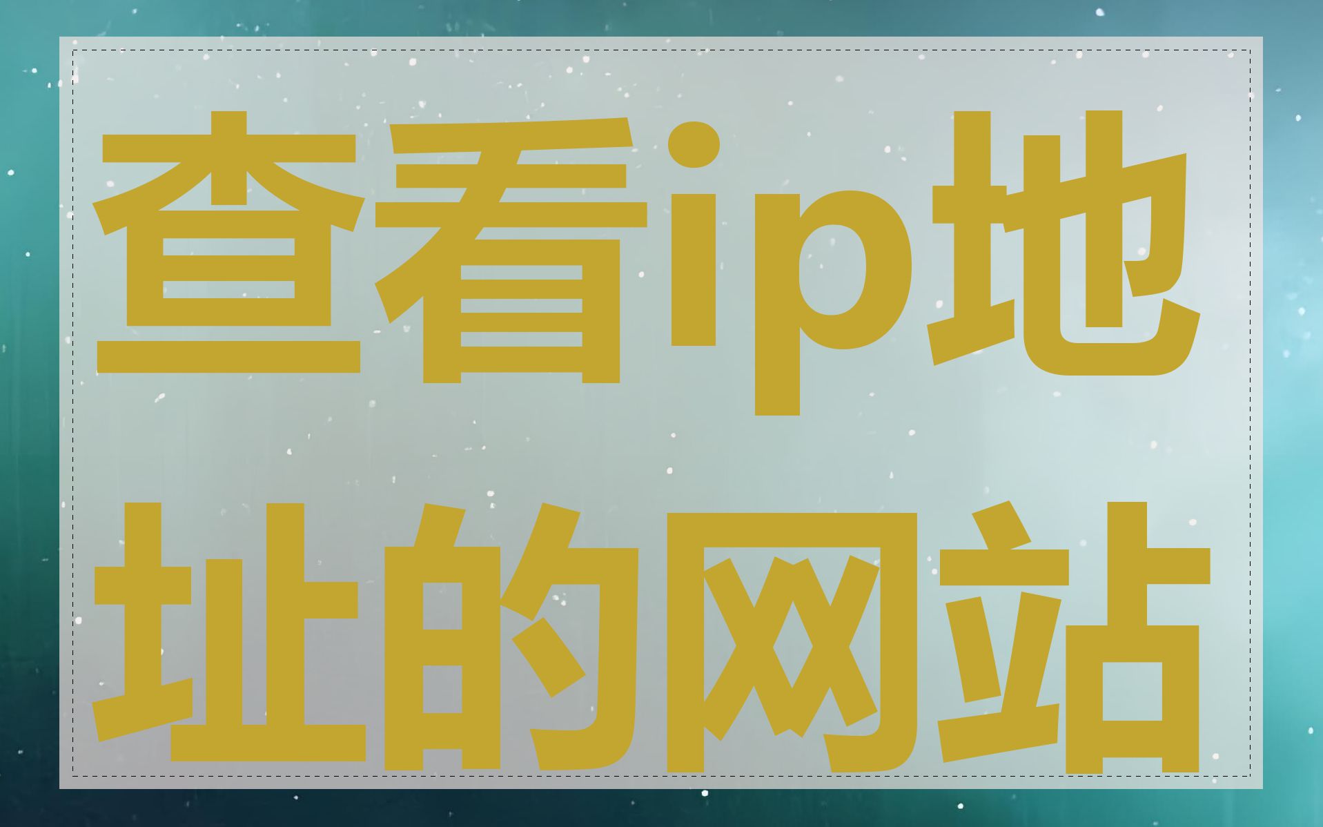 查看ip地址的网站