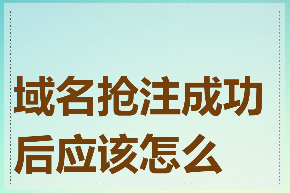 域名抢注成功后应该怎么做