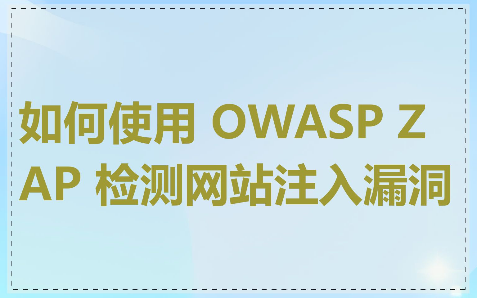 如何使用 OWASP ZAP 检测网站注入漏洞