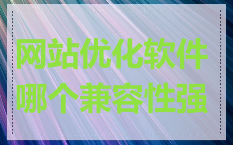 网站优化软件哪个兼容性强