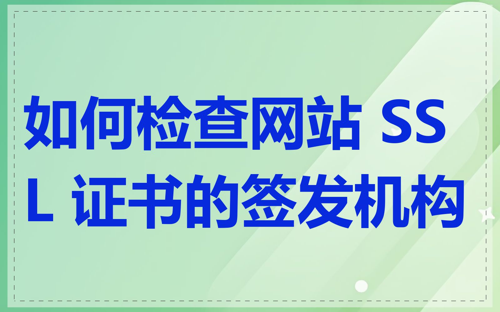 如何检查网站 SSL 证书的签发机构