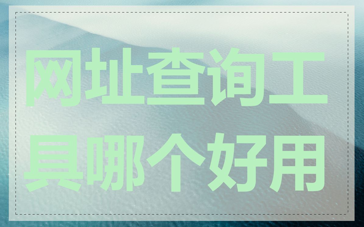 网址查询工具哪个好用