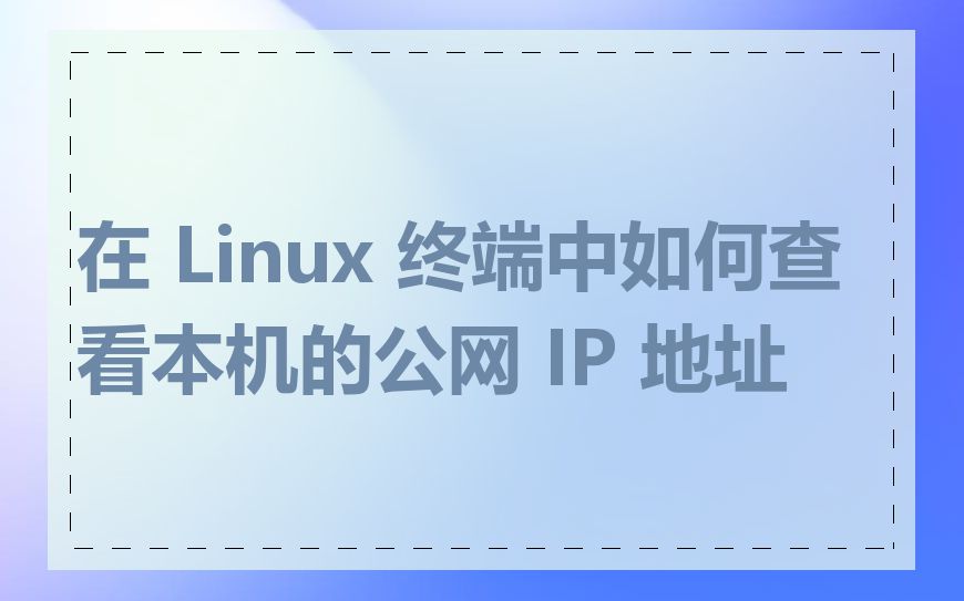 在 Linux 终端中如何查看本机的公网 IP 地址