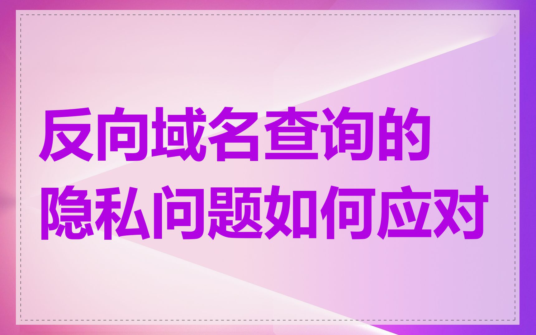 反向域名查询的隐私问题如何应对