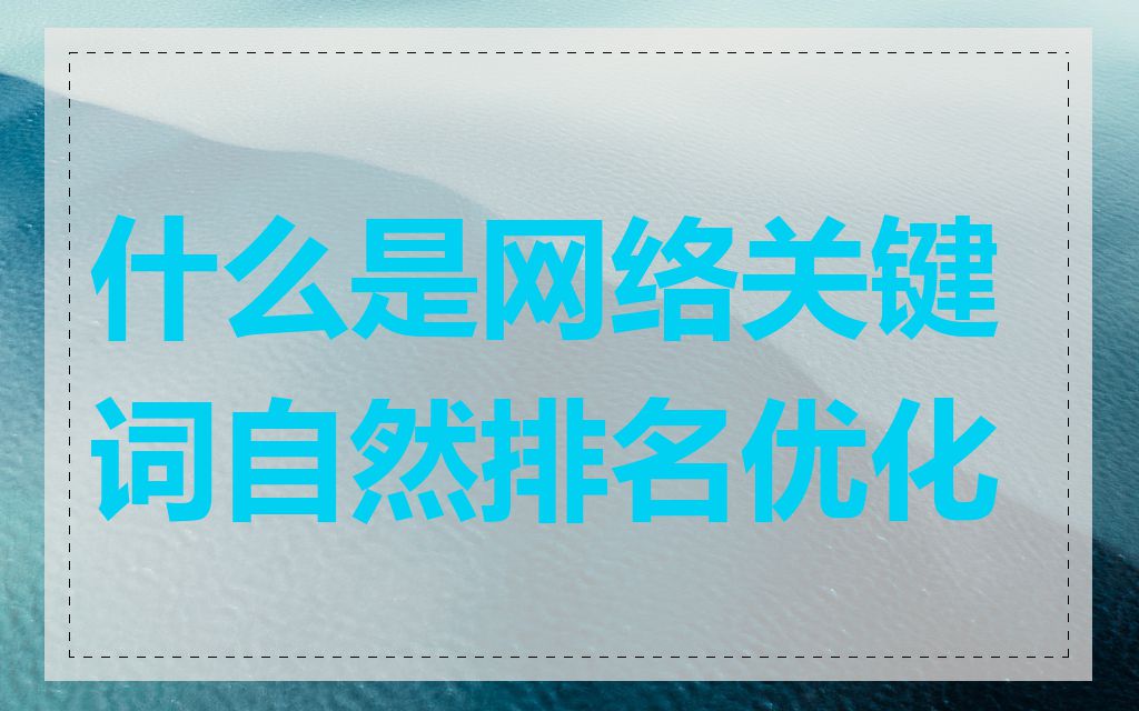 什么是网络关键词自然排名优化