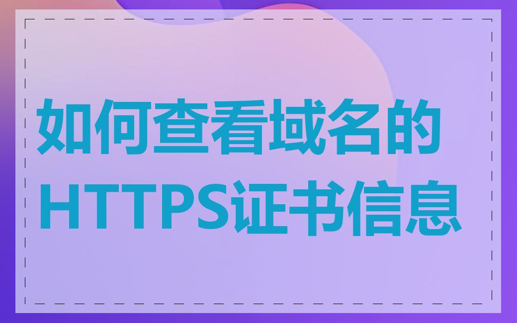 如何查看域名的HTTPS证书信息