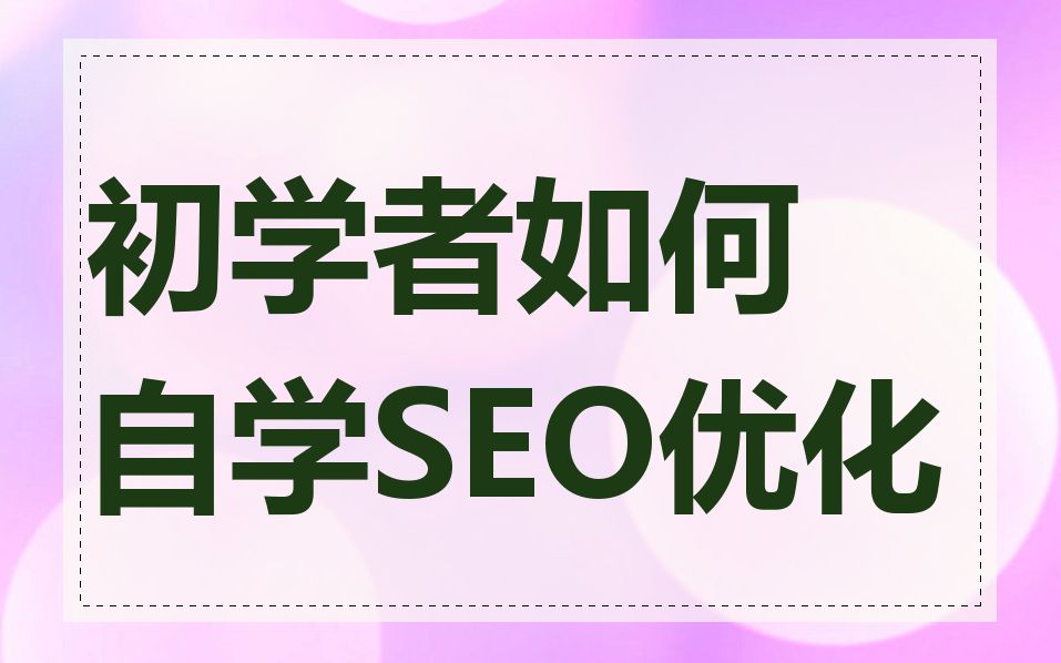 初学者如何自学SEO优化