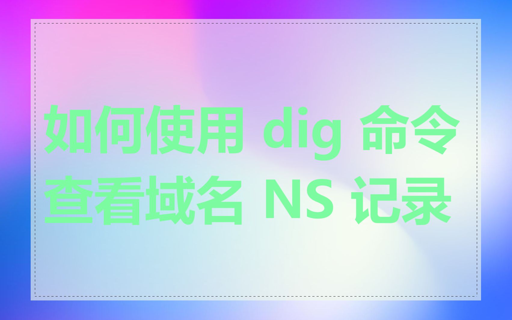 如何使用 dig 命令查看域名 NS 记录