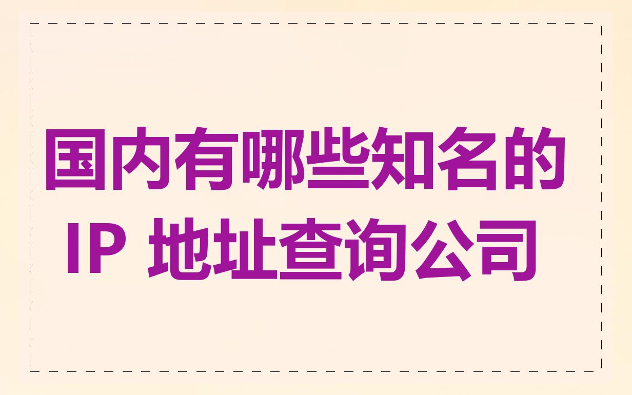 国内有哪些知名的 IP 地址查询公司