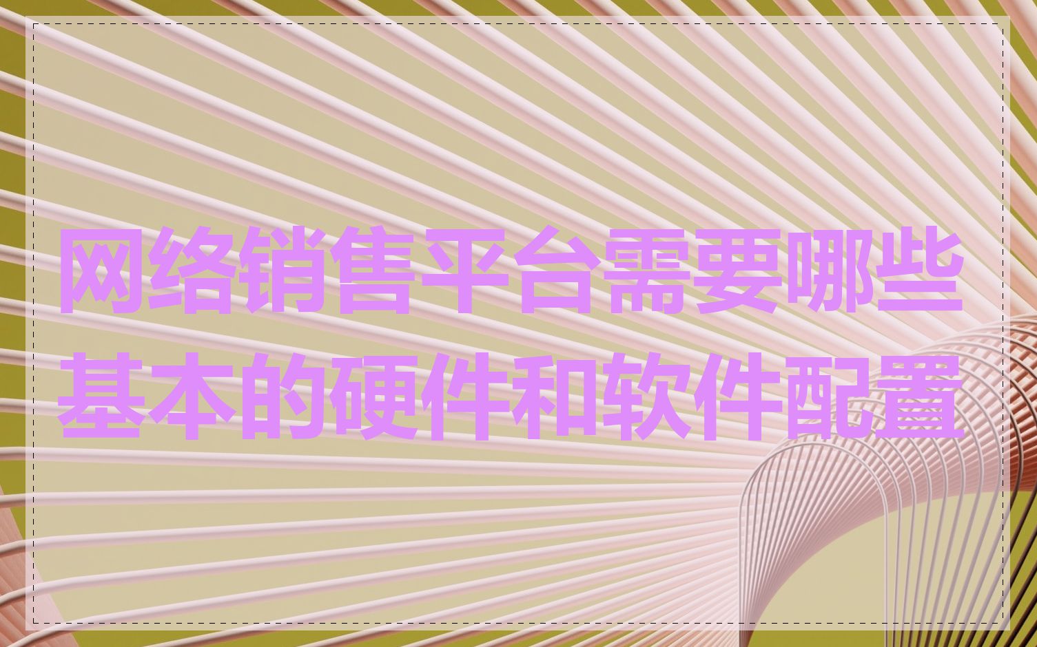 网络销售平台需要哪些基本的硬件和软件配置