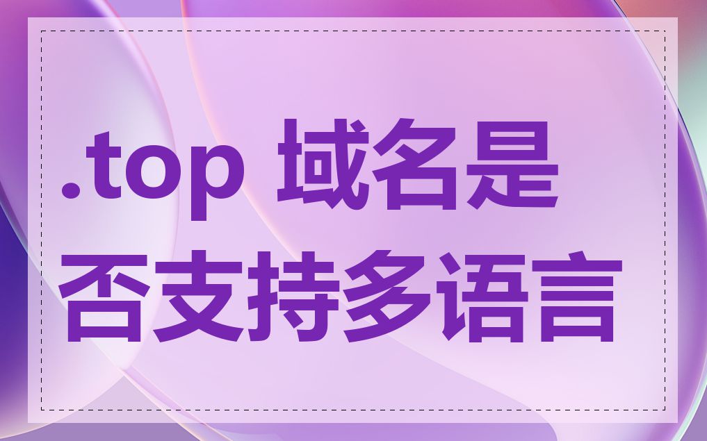 .top 域名是否支持多语言