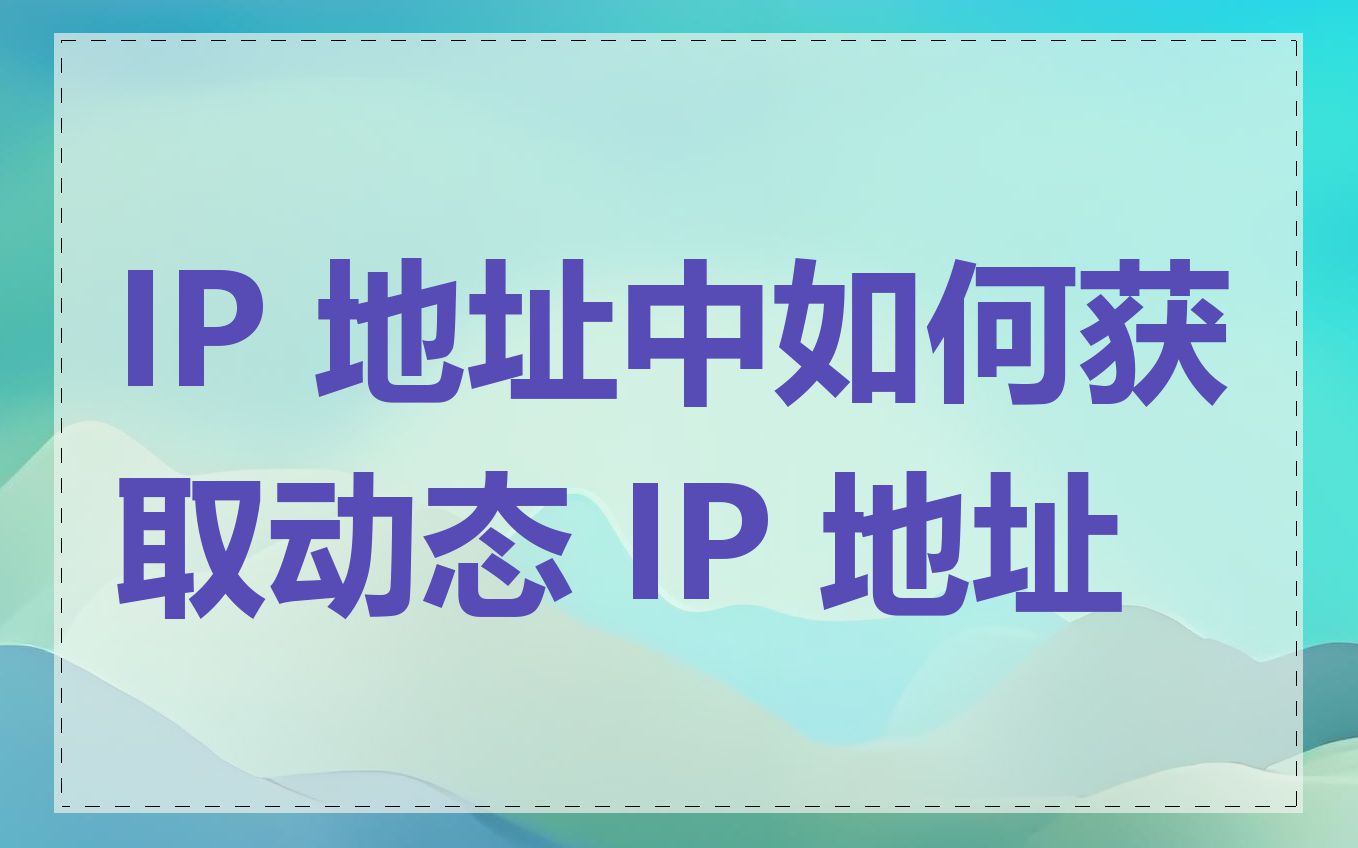 IP 地址中如何获取动态 IP 地址