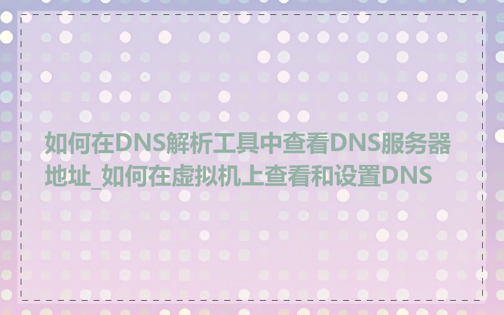 如何在DNS解析工具中查看DNS服务器地址_如何在虚拟机上查看和设置DNS