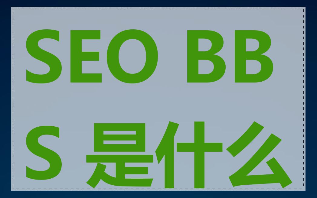 SEO BBS 是什么