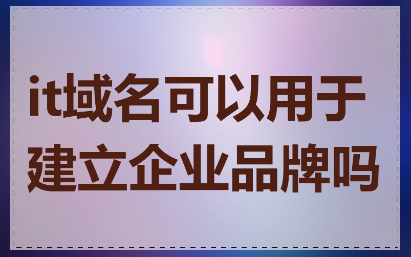 it域名可以用于建立企业品牌吗