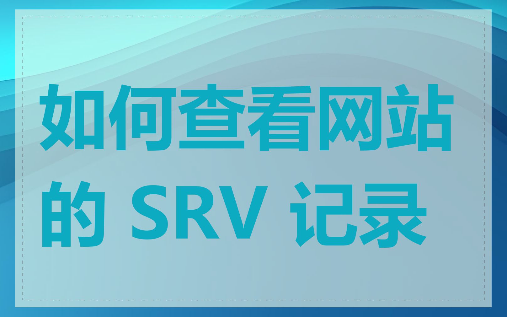 如何查看网站的 SRV 记录