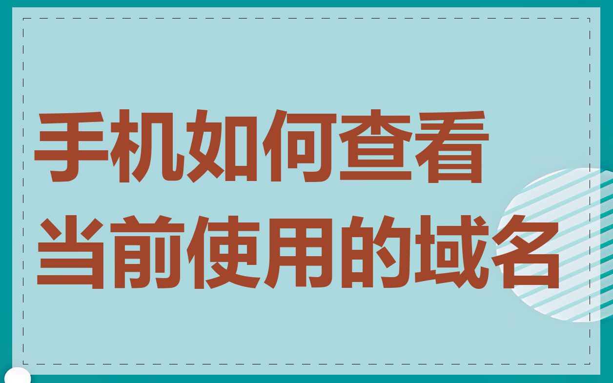 手机如何查看当前使用的域名