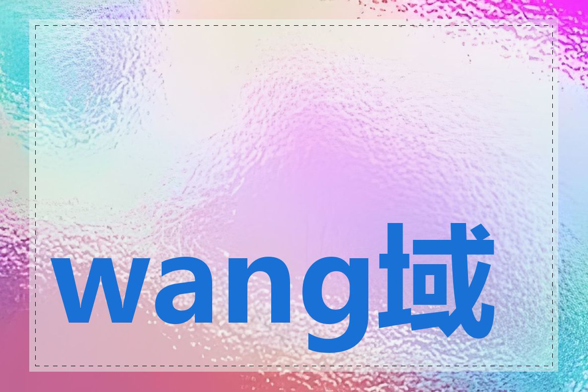 wang域名注册费用