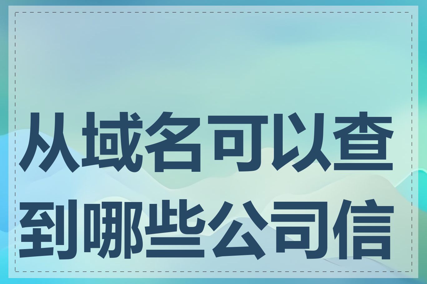 从域名可以查到哪些公司信息