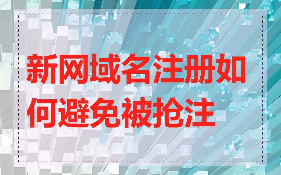 新网域名注册如何避免被抢注