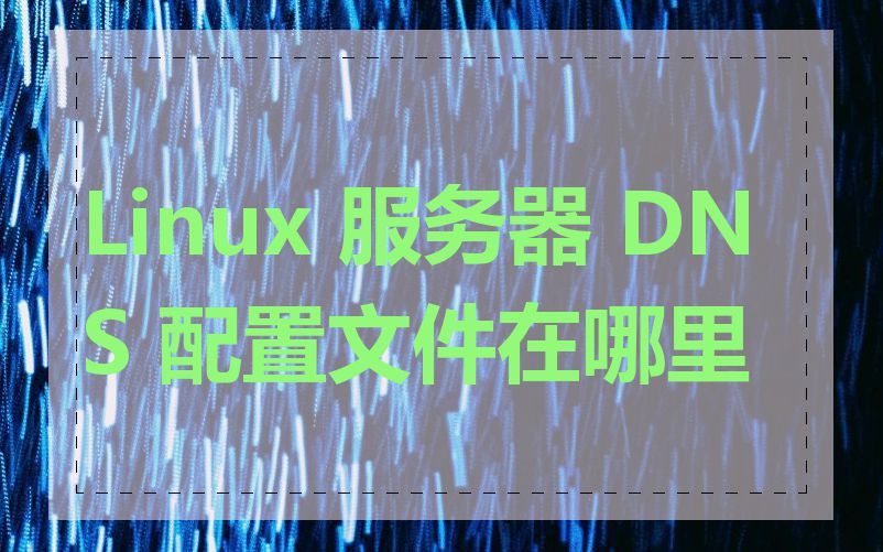 Linux 服务器 DNS 配置文件在哪里