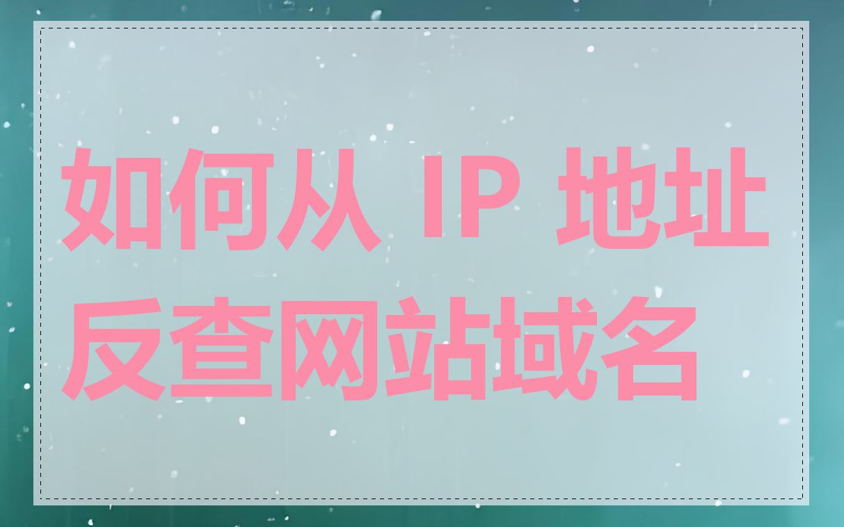 如何从 IP 地址反查网站域名