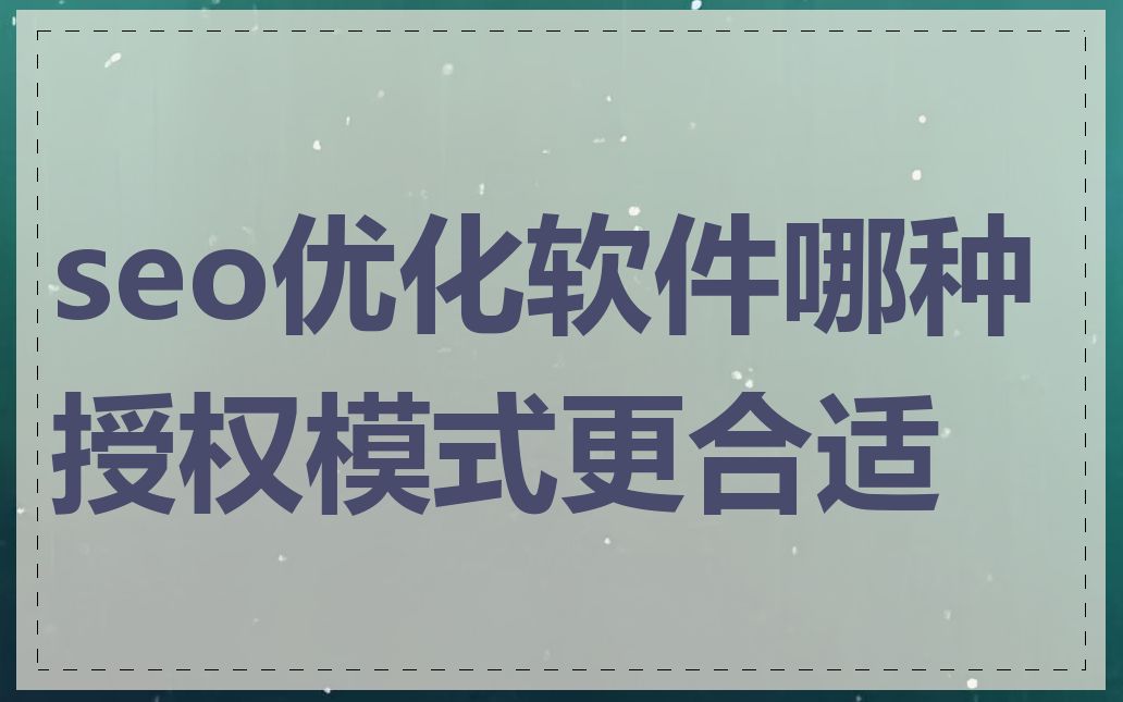 seo优化软件哪种授权模式更合适