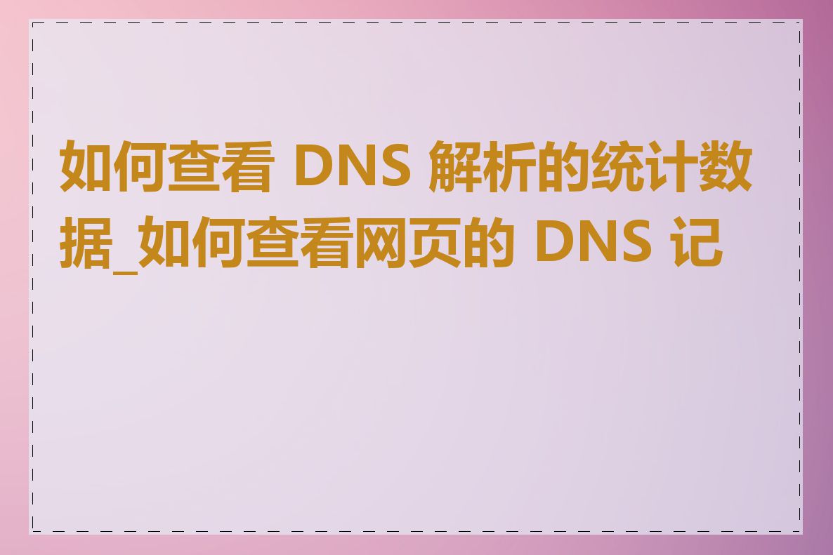 如何查看 DNS 解析的统计数据_如何查看网页的 DNS 记录